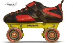 Manufacturers Exporters and Wholesale Suppliers of Proskate Project II Karnal Haryana